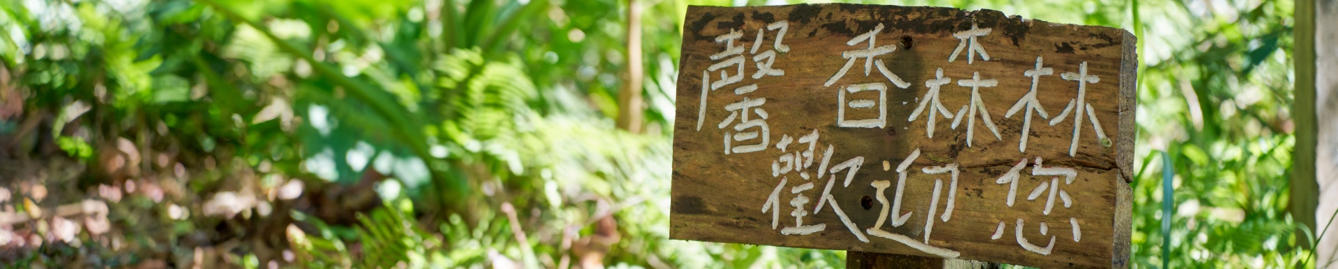 牡丹有景-東源森林遊樂區banner